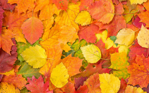 1099837 (a): :2880x1800
